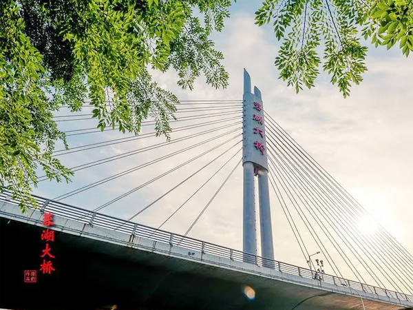 无锡蓉湖大桥自动化监测